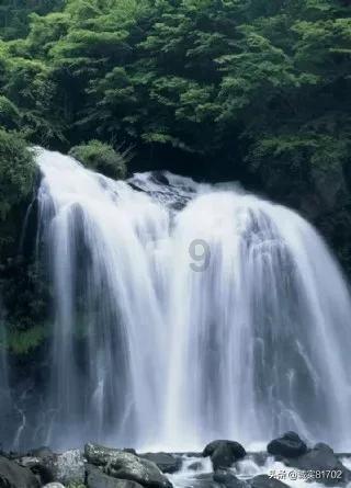 好作文丨哪怕等不到花开
